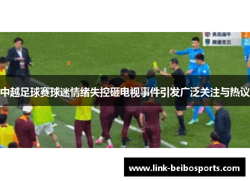 中越足球赛球迷情绪失控砸电视事件引发广泛关注与热议