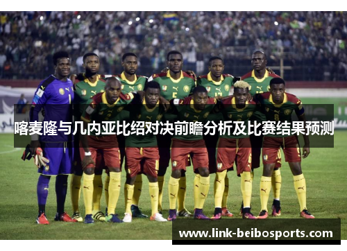 喀麦隆与几内亚比绍对决前瞻分析及比赛结果预测