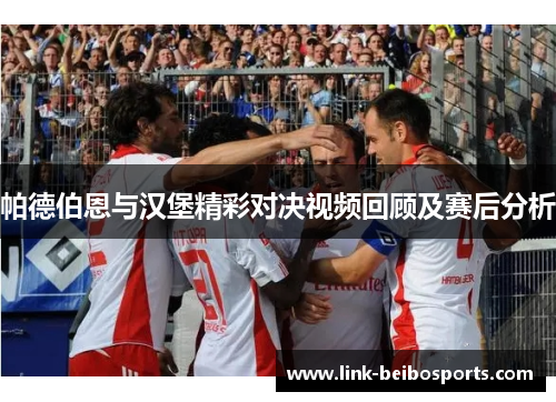 帕德伯恩与汉堡精彩对决视频回顾及赛后分析