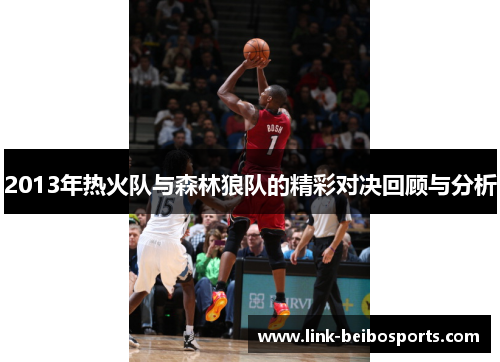 2013年热火队与森林狼队的精彩对决回顾与分析